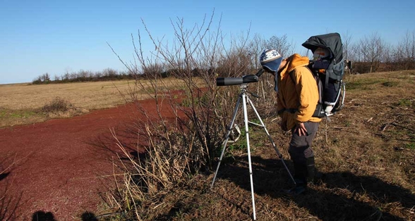 BirdWatching Tour In Iran (7 Days)