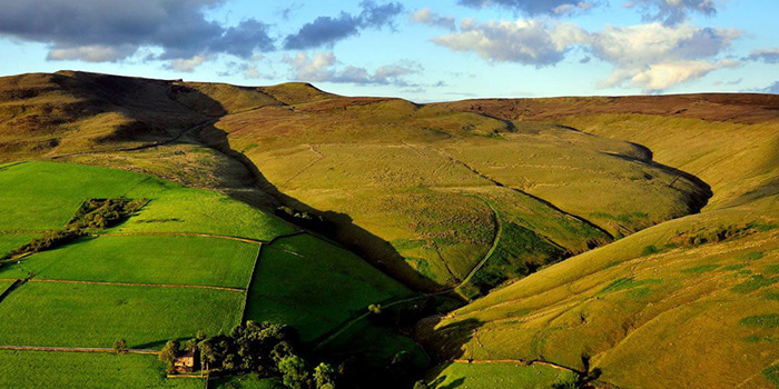 هنر و تجربه