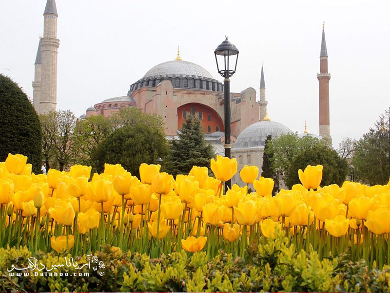 در فستیوال گل لاله استانبول، پارک‌ها و باغ‌های استانبول پر از جلوه گل‌های لاله است.