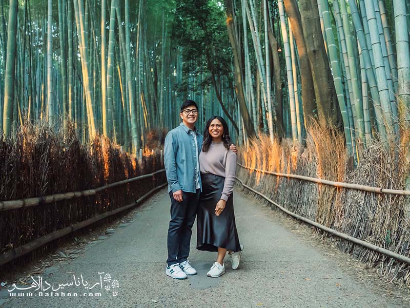 جنگل بامبو از بهترین لوکیشن‌ها برای عکاسی زوج‌هاست