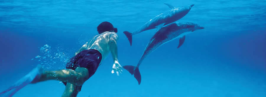شنا با دلفین‌ها - زنگبار