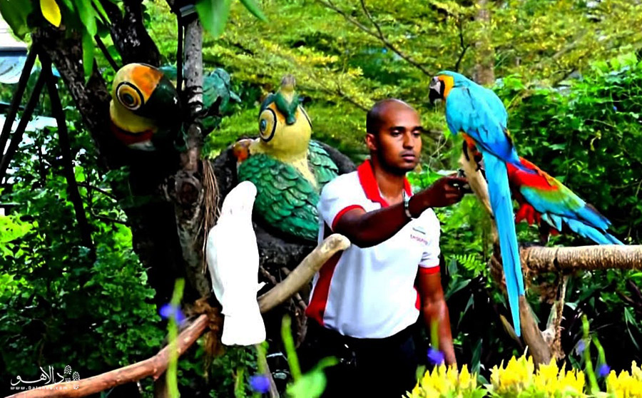 آمازون و پرنده‌هایش