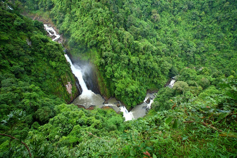 پارک Khao Yai