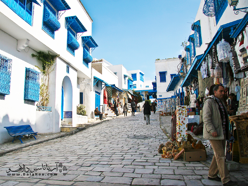 قابی از شهر زیبای تونس