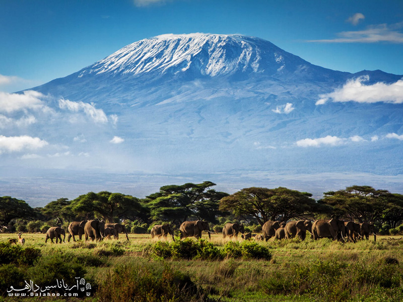 کلیمانجارو بلندترین قله آفریقاست و به همین خاطر به بام آفریقا شهرت دارد.