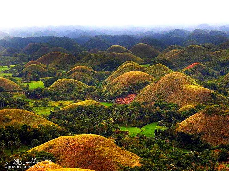 تپه‌های شکلات فیلیپین از جاذبه‌های مهم این کشور هستند