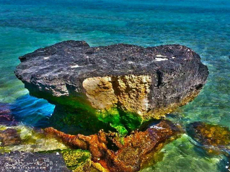 یکی از زیباترین جاذبه‌های کیش جزیره مرجانی است.
