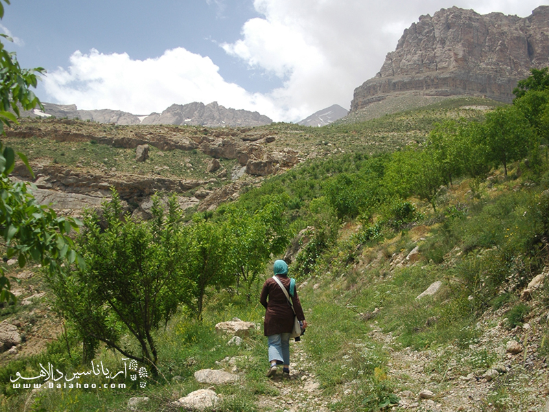 مسیر زیبای روستای مارگون.
