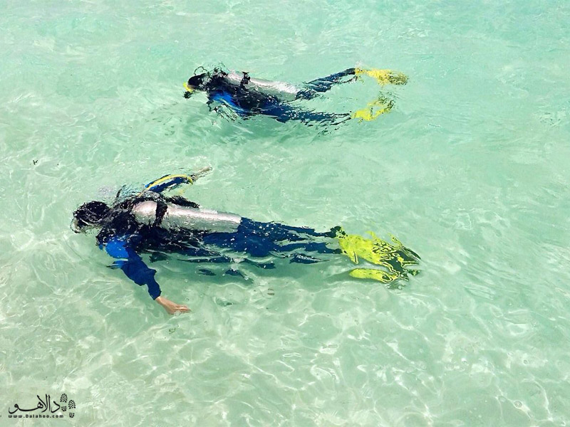 غواصی در آب‌های زلال اقیانوس هند، مالدیو