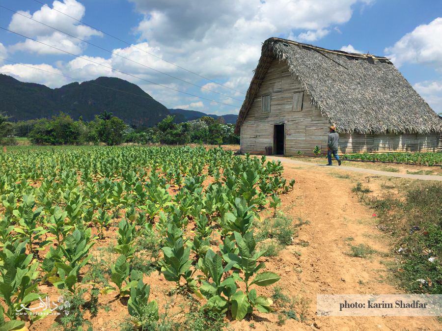 بازدید از دره وینیالس و مزارع تنباکو در برنامه سفر دالاهو بود.