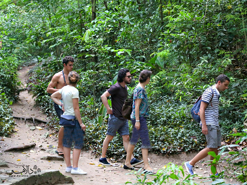 گشت و گذار در طبیعت برزیل را با دالاهو و در کنار همسفران خوب‌مان تجربه کنید