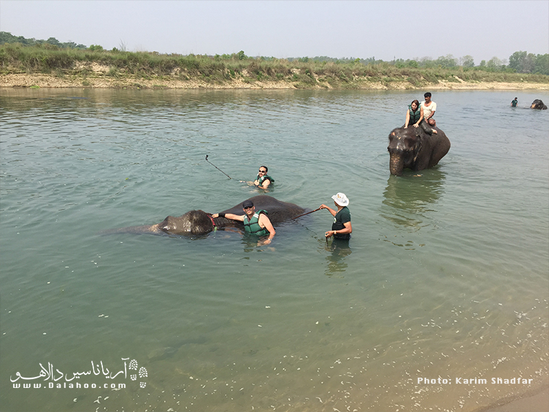 آب بازی با فیل‌ها در پارک‌ملی چیتوان تجربه‌‌ای بی‌نظیر بود که مسافران ما در این سفر آن‌را در دفتر خاطرات خود به ثبت رساندند.