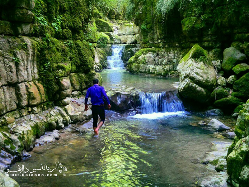 سوته راش نام آبشاری در دل جنگل‌ لنگای مازندران است.