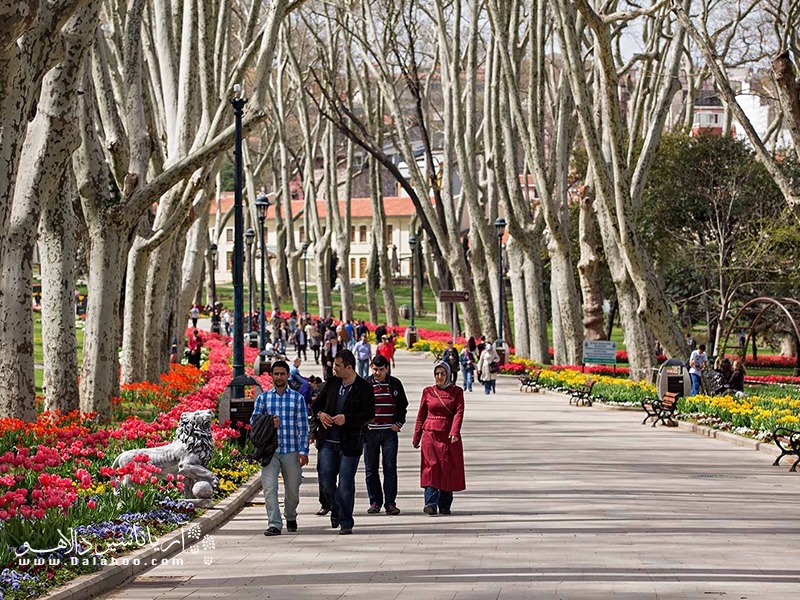 درختان و گیاهان کهن‌سال و رنگارنگ پارک شهر ببک تماشایی هستند.