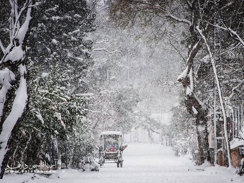 جزیره بیوک آدا در روزهای زمستان.