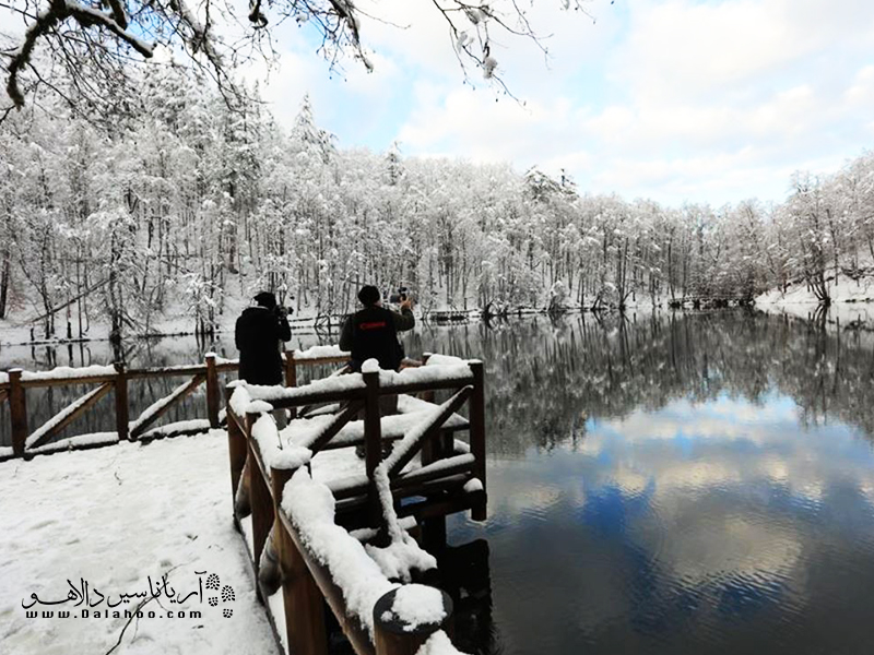 پارک ملی هفت چشمه در زمستان سپیدپوش می‌شود.