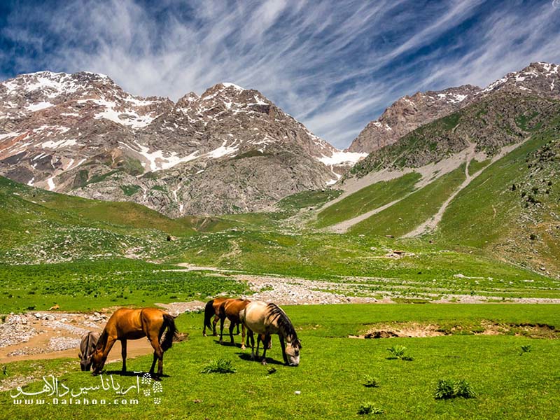 نام اسب در قرقیزستان معرف سن، جنسیت و ویژگی‌های مهم دیگر است