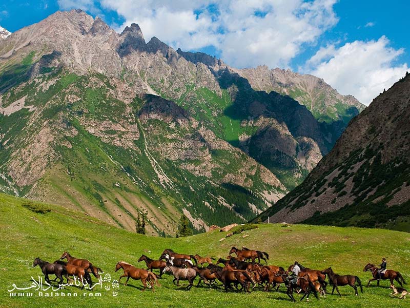 اسب بال مرد است، این یک ضرب‌المثل مهم در قرقیزستان است