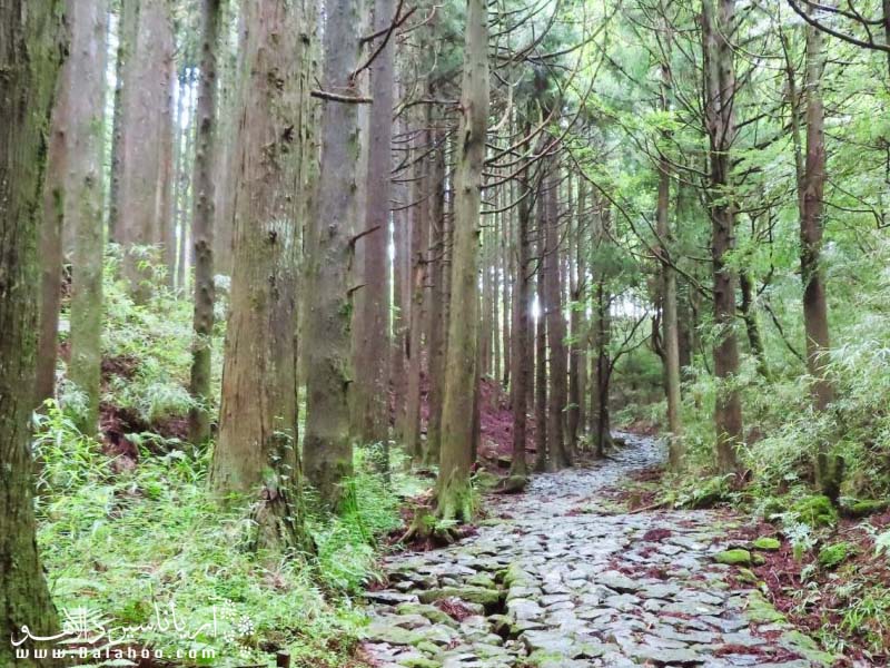 جاده‌های قدیمی ژاپن برای حفاظت از تجار و مسافران، ساخته شده است