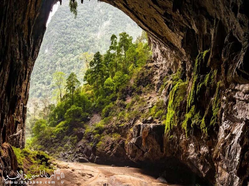 سال 2013 غار سون دونگ در گینس ثبت شد
