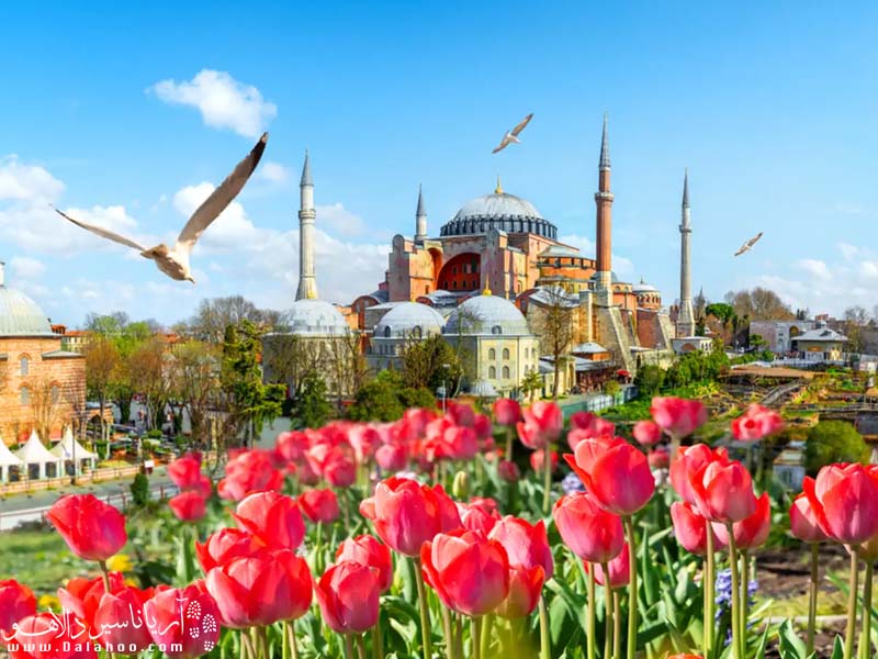 جشنواره گل لاله در استانبول یک رویداد پر از شادی است.