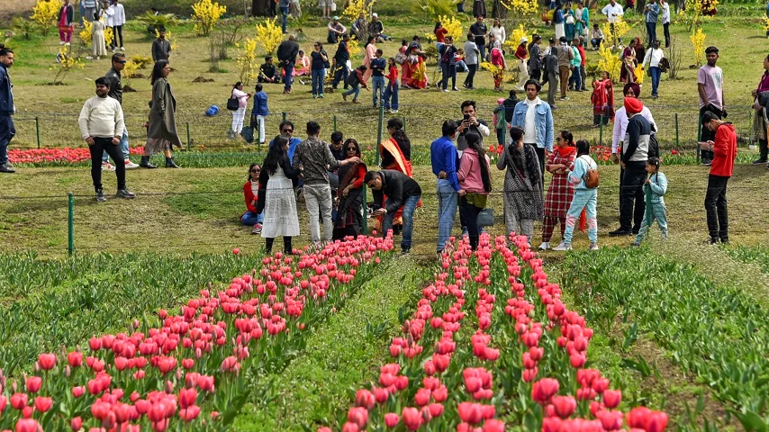 در تور کشمیر دالاهو می‌توانید به باغ لاله هند نیز سری بزنید