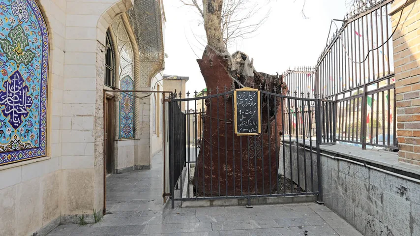 در تور تهرانگردی یک روزه به دیدار چنار 900 ساله خواهیم رفت