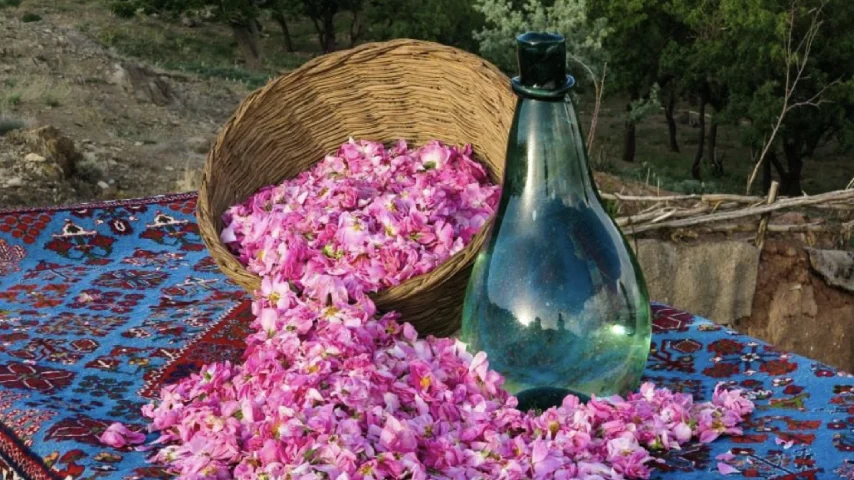 از قرن‌ها سال پیش آیین گلاب‌گیری در ایران وجود داشته 