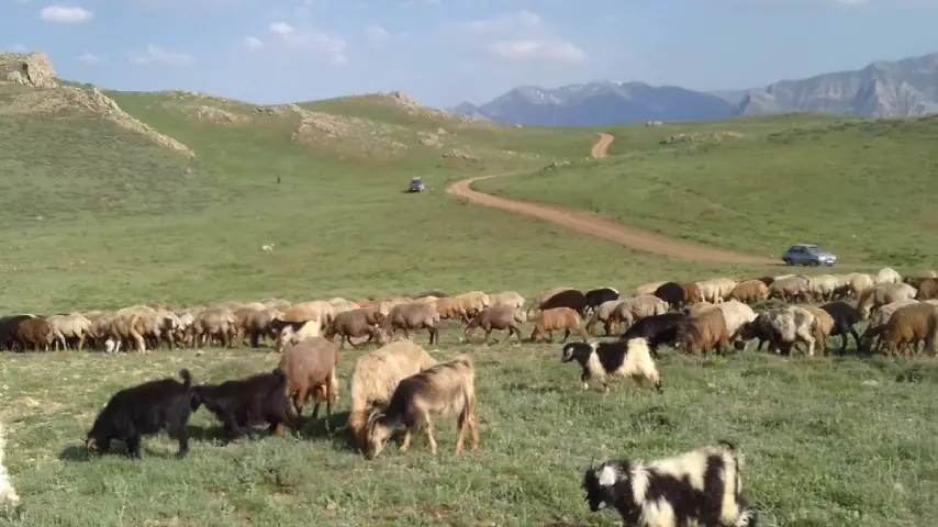دلیر روستایی زیبا و متفاوت، بکر و جذاب در چالوس است