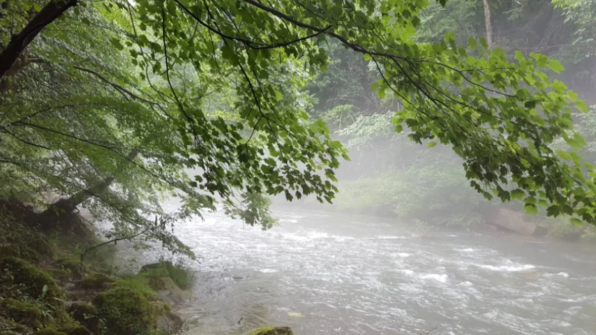 اگر دنبال یک جای خنک برای تور یک روزه هستید این مطلب برای شماست