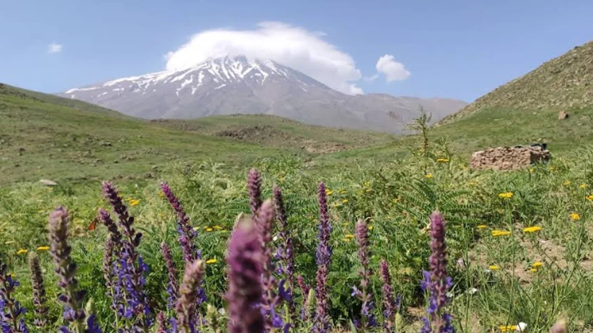 علاوه بر شقایق‌ها، لار و پلور دیدنی‌ها و جاهای قشنگی برای کمپ دارند