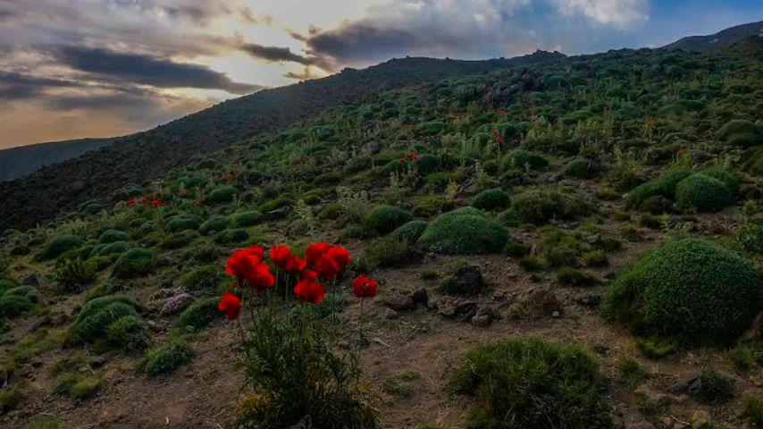 مسیر جاده هراز،‌ بعد از امامزاده هاشم، بهترین مسیر برای رسیدن به لار و پلور است
