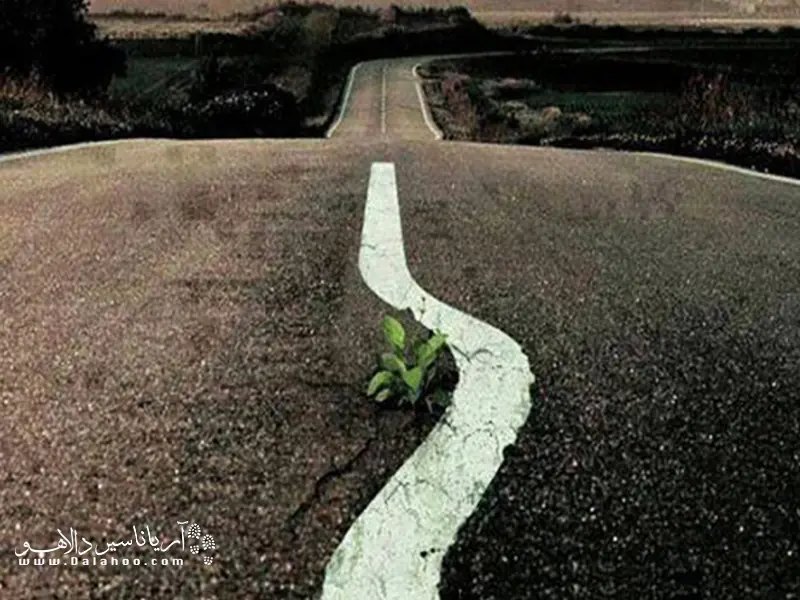 احترام به طبیعت وظیفه ماست.