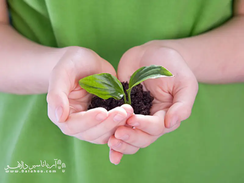 به طبیعت احترام بگذرایم.