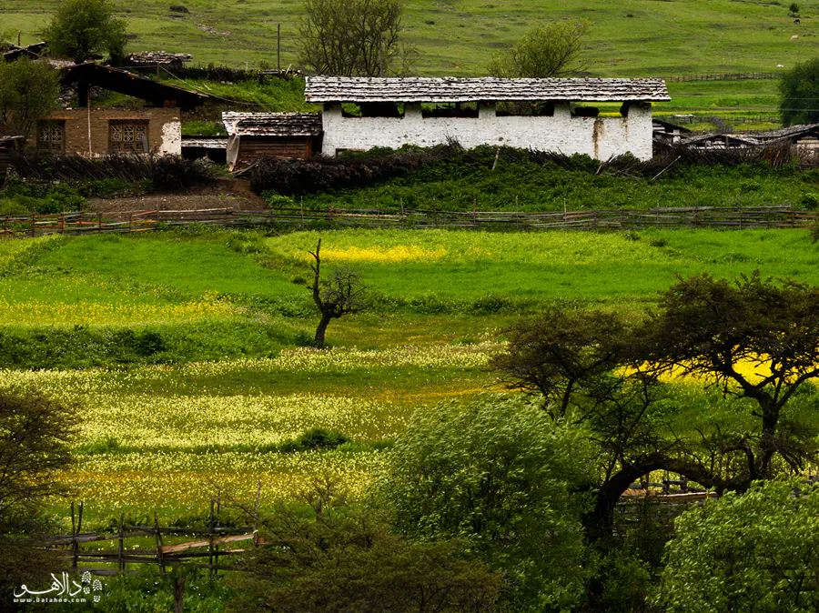 گردنه لولانگ
