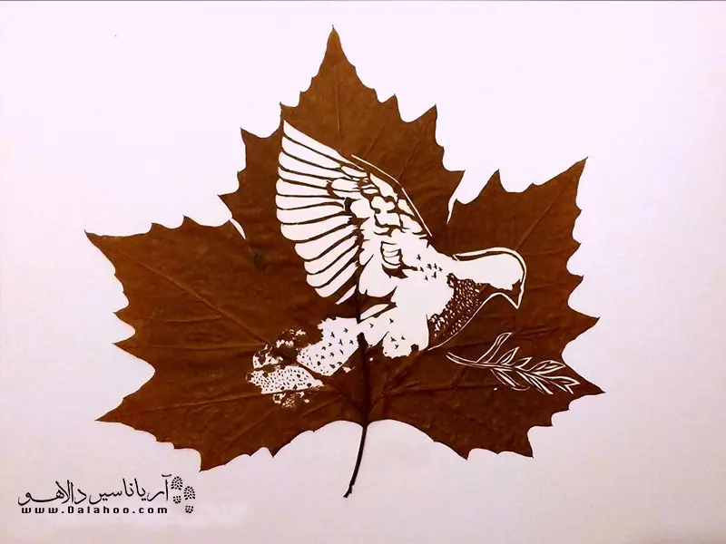 کبوتری که روی برگ خشک جان دوباره‌ای گرفت.