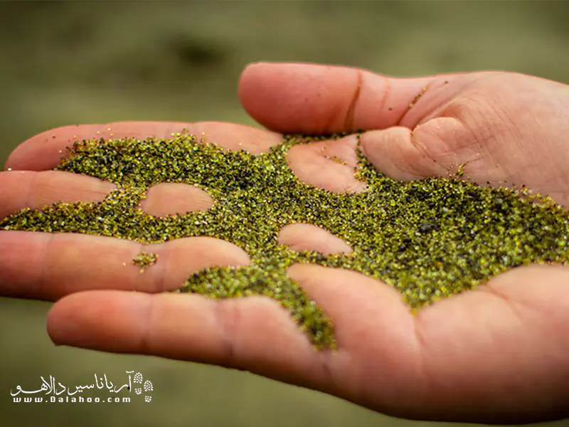 شن&zwnj;های سبز ساحل هاوایی شگفت انگیز است.