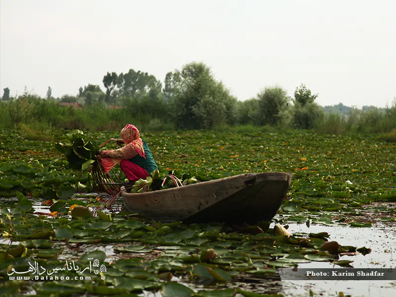 در میان زندگی مردمان کشمیر.