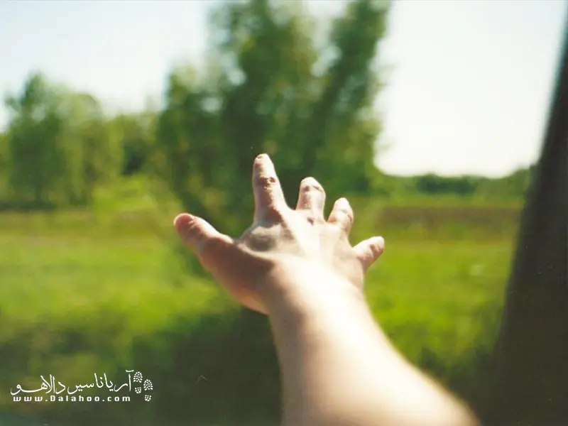  اجازه بدهید همسفر شما در سفر دقایقی را برای خود تجربه کند.