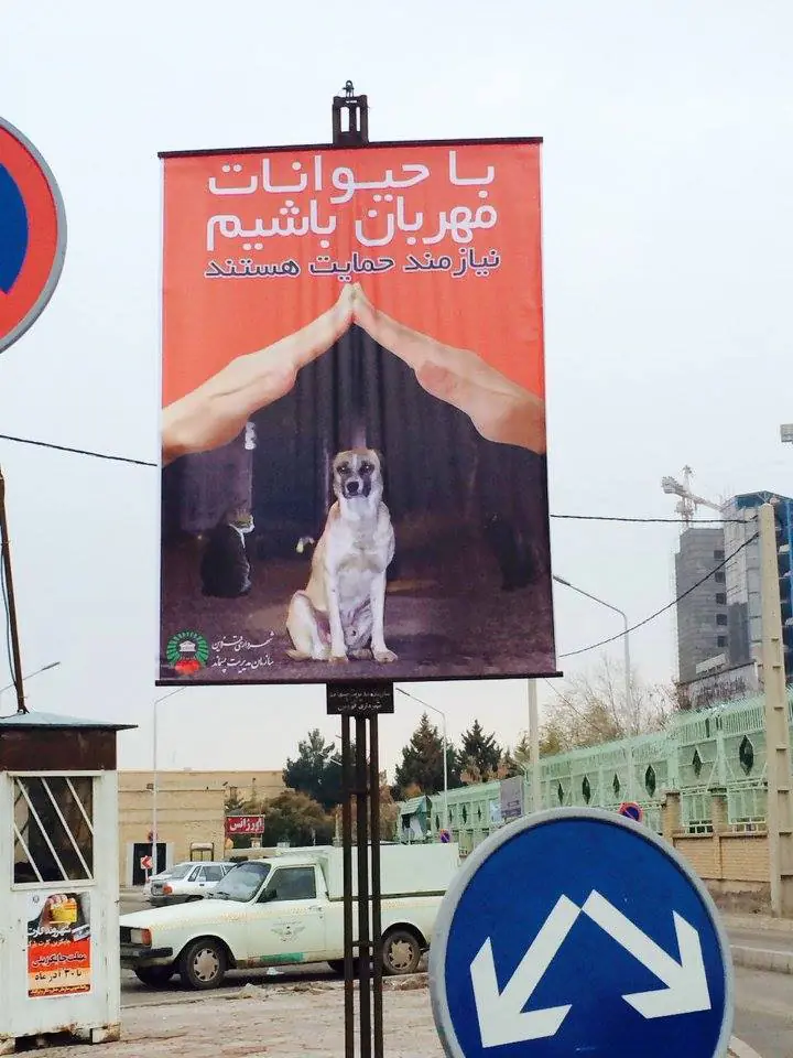 حمایت از حیوانات
