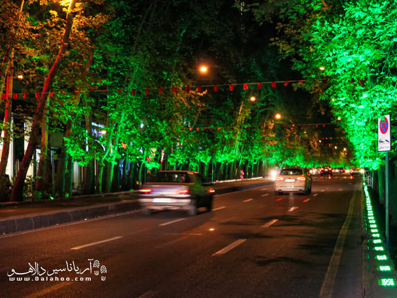 درختانی که با نورپردازی‌های شبانه از استرحت محرومند.
