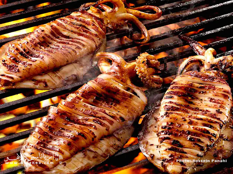 صید ماهی مرکب (squid) خیلی ساده است. کافی است قلاب ماهیگیری را به داخل آب بیندازید و منتظر بمانید.