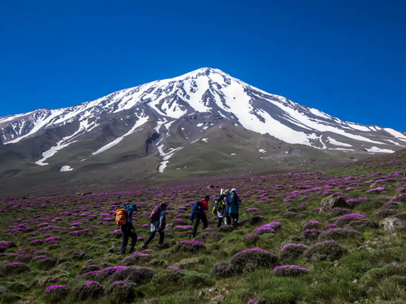 در دامنه‌های دماوند