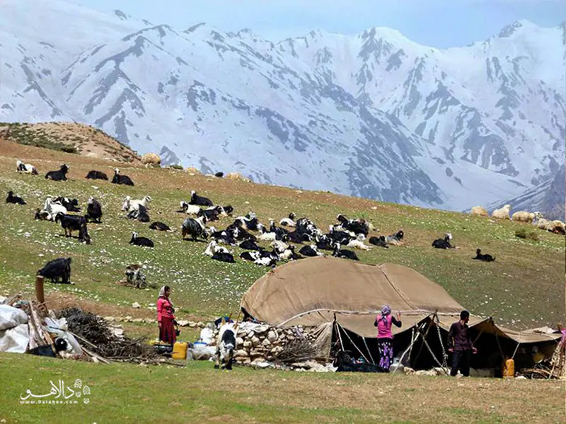 تماشای چادرهای عشایر از نزدیک.