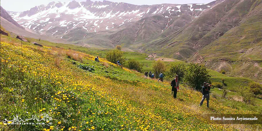 نوا تا دشت آزو