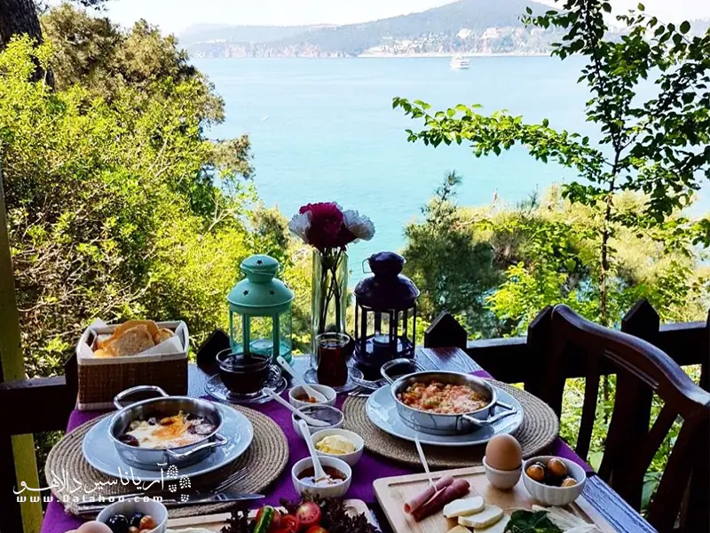 خوردن صبحانه در کافه پارک طبیعت با این منظره، تجربه‌ای دوست داشتنی است.