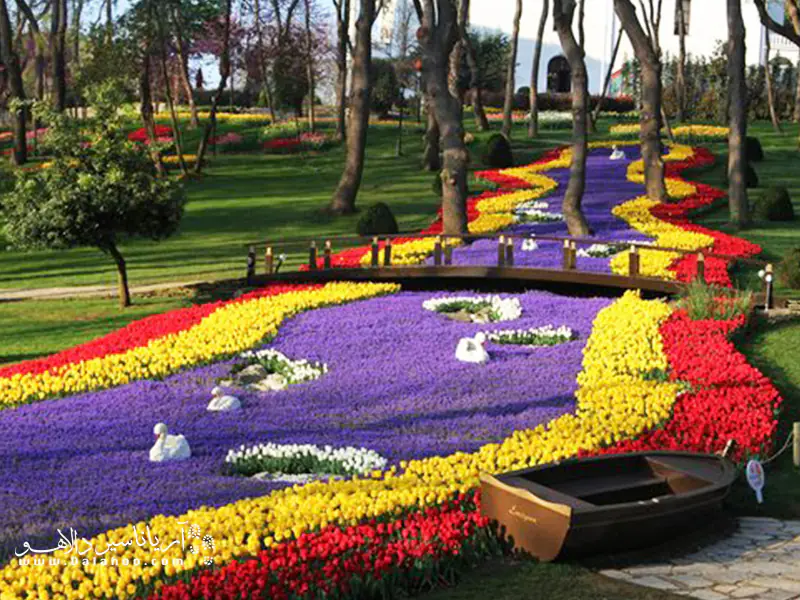 آنچه بیشتر از هر چیز پارک امیرگان را منحصر به فرد کرده گونههای متنوع گیاهی و رنگارنگ است.