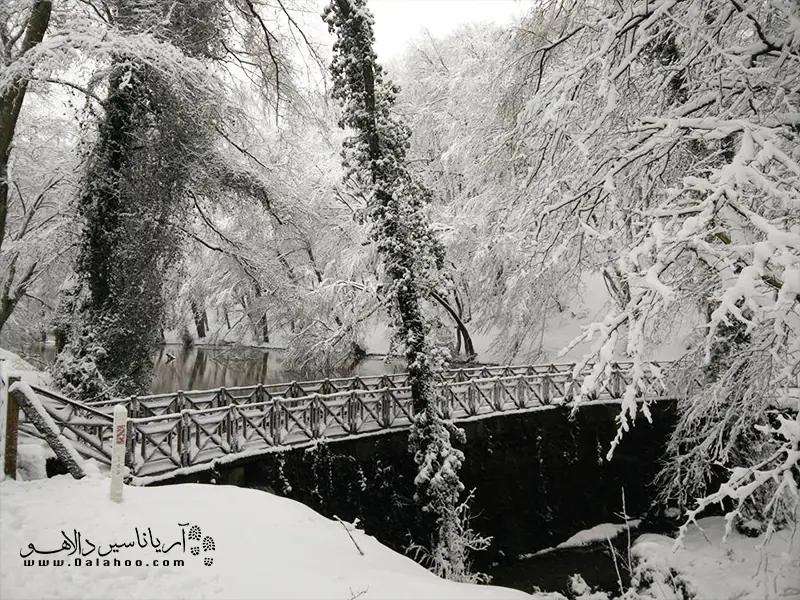 نمایی از جنگل بلگراد در روزهای برفی.