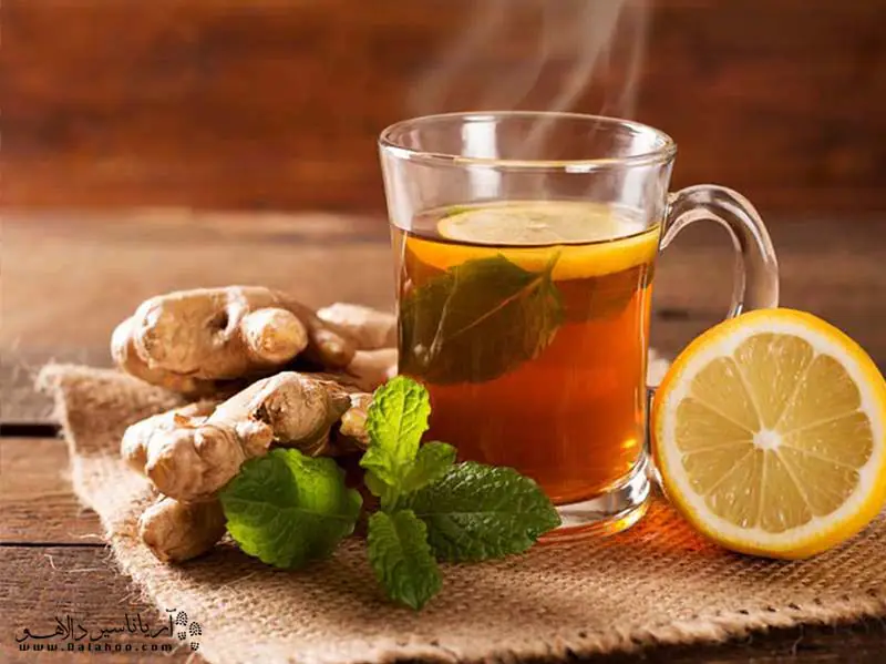 دمنوش زنجبیل برای تور شفق قطبی و سفر به روسیه، به خاطر انرژی، گرما بخشی و بالا بردن گردش خون، بسیار عالی است.
