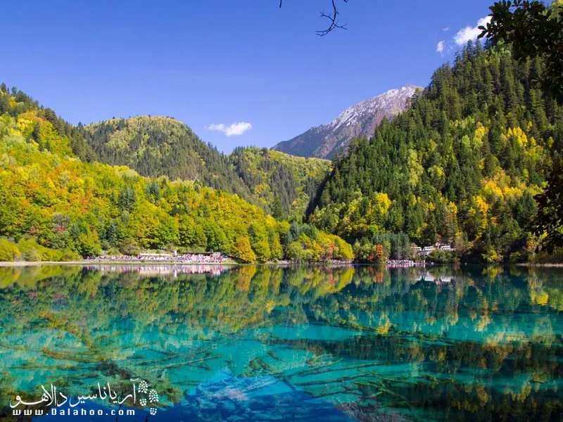 پارک ملی در چین یک جاذبه منحصربه‌فرد است